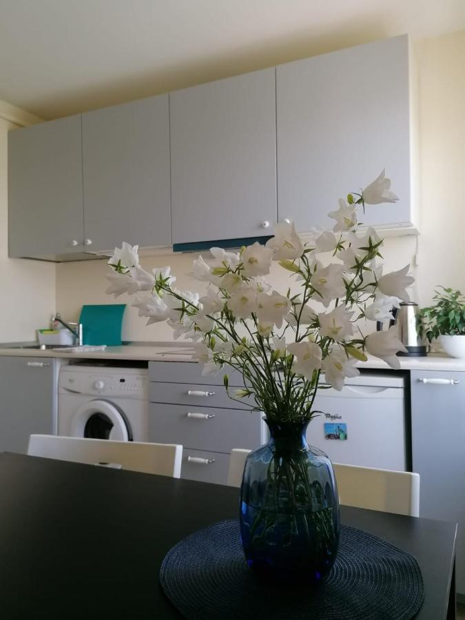 Apartment Anna Saldus Extérieur photo